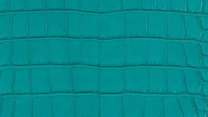 hermes-bleu-paon-color