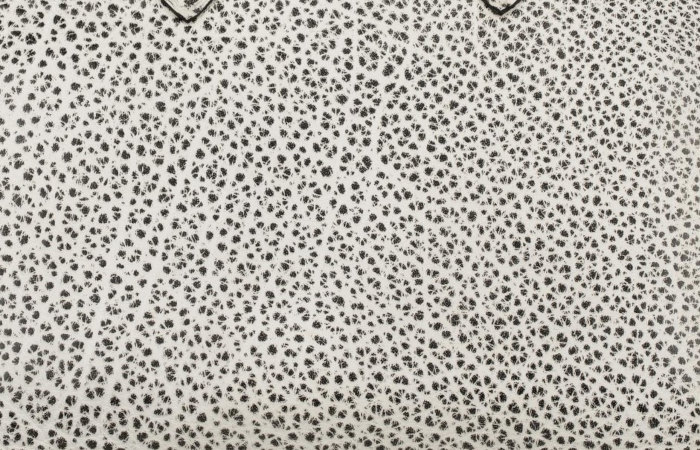 hermes-buffalo-dalmatien-leather