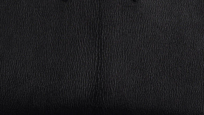 hermes-chevre-coromandel-leather