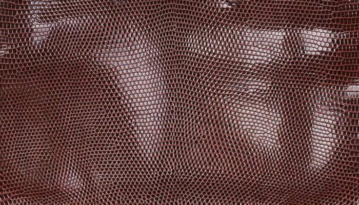 hermes-cocaon-color
