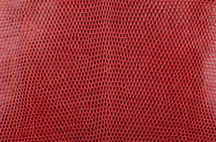 hermes-varanus-niloticus-leather