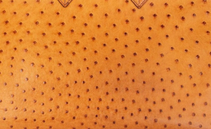 hermes-ostrich-leather