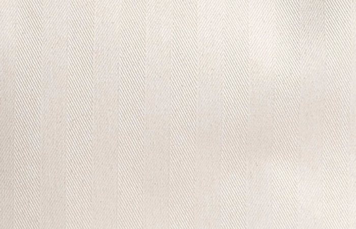 hermes-chevron-canvas