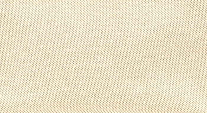 hermes-toile-h-canvas